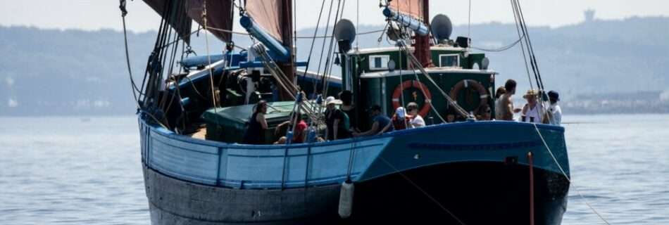 Croisière ornithologique